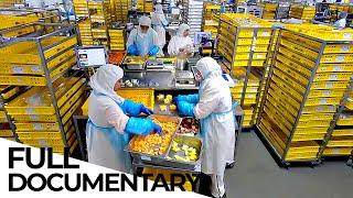 The Logistics of Airplane Food | Secrets of Your Airline Food | ENDEVR Documentary