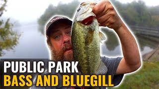 How To Catch Fish at a Public Park in Fall - Bass and Bluegill