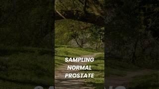 Sampling Normal Prostate | #activesurveillance #prostatecancer #ASPI2000