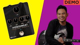 Deep Dive - PRS Horsemeat Transparent Overdrive | JayLeonardJ