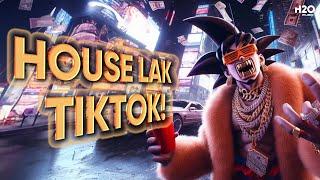 House Lak TikTok 2024  Nhạc Trẻ Remix Hay Nhất 2024 - Mixtape House Lak TikTok Hot Nhất 2024