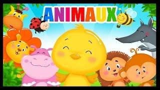 Apprendre les animaux et leurs cris en français avec les Titounis!