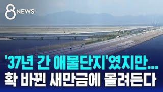 '37년 간 애물단지'였지만…확 바뀐 새만금에 몰려든다 / SBS 8뉴스