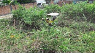 Amazing!! Bulldozer Clean Forest Before Dump Truck Unloading Soil