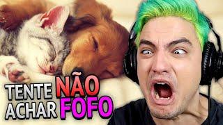 TENTE NÃO ACHAR FOFO - CACHORROS! [+10]