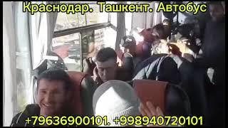 Краснодар. Ташкент автобус#Krasnodar Tashkent avtobus#Ростов-на-Дону Ташкент автобус#Волгоград Ташк￼