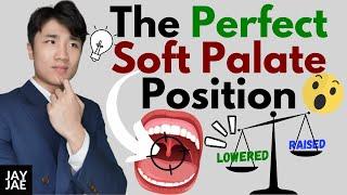 Raising Soft Palate... Secret to Singing High Notes? (Experimental footage revealed!)