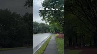 After the Storm #weather #charlotte #climatechange #nature