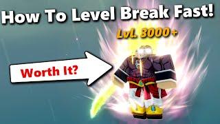 Is Level Breaking Worth It! | Dragon Soul