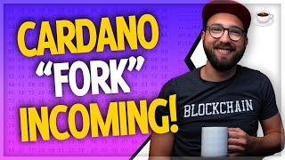 Cardano update, Elrond, BTC price analysis & more! // Crypto Over Coffee ep.52