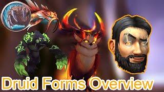 How to Obtain ALL Druid Forms! | World of Warcraft Class Guides