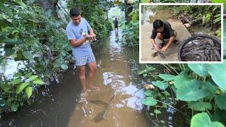 LUBOG SA BAHA! NAGKALAT ANG MALALAKING ISDA SA HARAP NG BAHAY! BUHAY PROBINSYA! PHILIPPINES! BAGYO!