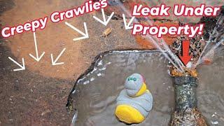 LEAK on a supply pipe feeding 8 HOUSES!!