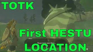 Legend of Zelda Tears of the Kingdom - WHERE IS HESTU - FIRST LOCATION