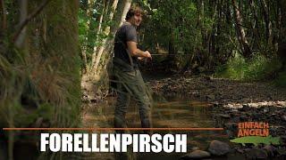 Wunderschöne, wilde Bachforellen | Spinnfischen auf Biberpfaden | S1E02 | Einfach Angeln