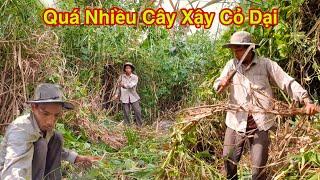Hai Lúa Làm Cỏ Vườn Quá Nhiều Cây Xậy Cỏ Dại Như Thế Nào Tập 2