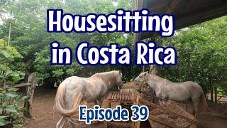 Episode 39 House and Petsitting in Montezuma, Costa Rica