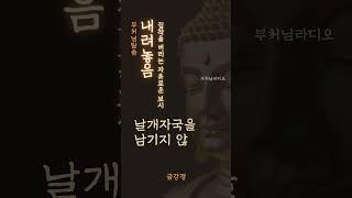 내려놓음 | 집착을 버리는 자우로운 보시 | 금강경 | 부처님말씀 | 명상의 말씀 | 불교 명언