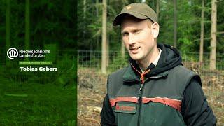 Vom Setzling zum Wald - Das Interview mit unserem Förster!