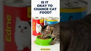 Is it okay to change cat food #cats #shorts #yellowmimish @Cat