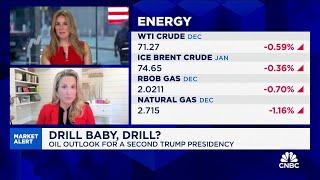 CIBC's Rebecca Babin on oil outlook for a second Trump presidency