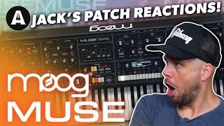 Moog Muse Synthesizer - Jack's Patch Reactions!