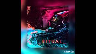 ..RiTūAL.. #psytechno #electronicmusic #progressivepsytrance #tribaltech #tribe #tribal