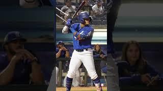 Wilman Diaz - One Swing Only, A Single #oneswingonly #dodgersprospects