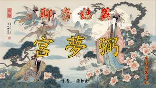 【聊齋誌異】宮夢弼（白話文） #神話故事 #民間傳說 #助眠故事 #中國古典文學故事 #蒲松齡 #小說