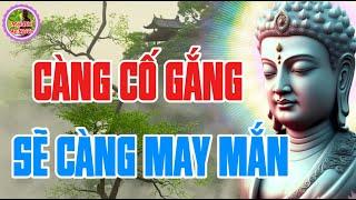 Bất Luận Gặp Phải Chuyện Phiền Phức Gì Hãy Nhớ Lấy Câu Càng Cố Gắng Sẽ Càng May Mắn Để Vượt Qua