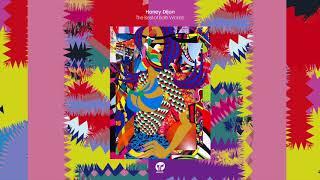 Honey Dijon & Tim K featuring Nomi Ruiz ‘Why’