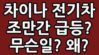 차이나 전기차 조만간 급등한다고? 무슨일? 왜? 중국 주식 주가 전망 TIGER 타이거 ETF SOLACTIVE 테슬라 루시드 아이온큐 TQQQ SOXL TMF