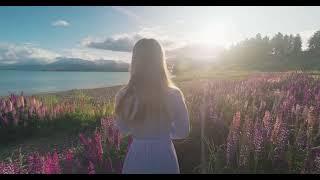 Lupin Flowers at Lake Pukaki and Mount Cook, New Zealand: World Discovery