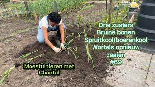 Mijn moestuin avontuur #69 Drie zusters, bruine bonen, spruitkool en boerenkool, wortels zaaien.