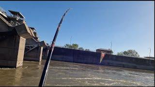 Slip Corking CATFISH at Hidden DAM!!! Bonus White Bass Included!!