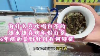 为什么喜欢喝白茶的越来越喜欢年份白茶？6年陈荒野牡丹有何特征