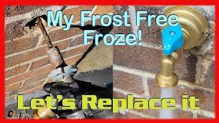 Frozen Frost Free and Replacement