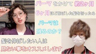 【髪を伸ばしたい人は観ないで】6ヶ月伸ばした髪をバッサリカット︎