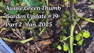 Nathan's Garden Update #19 Pt 2 - Tomato Trellis, Hydroponic Tower, and Garden Bed Progress