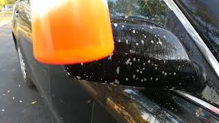 The Secret To Tree Sap Removal, Tar Removal, and Bug Removal From Car▶️ Hint: It's Orange