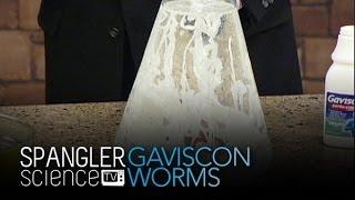 Gaviscon Worms - Cool Science Experiment