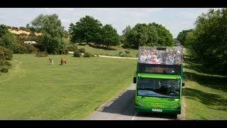 The New Forest Tour - for residents of the New Forest