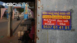 India alleges Canadian colleges linked to trafficking foreign students over Canada-U.S. border