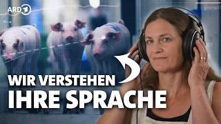 Dieses Experiment bringt Schweine zum sprechen! | Sprechende Schweine – KI übersetzt Tiersprache