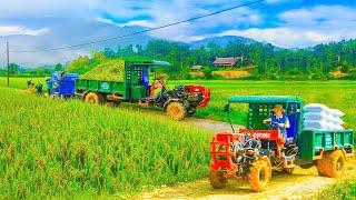 Use Truck To Transport Rice Threshing Machine - Transport Many Heavy Bags Of Rice To Villagers - New