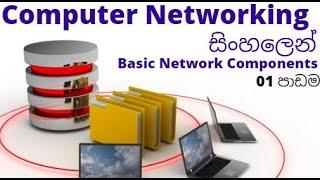 Computer Networking සිංහලෙන් | Lesson 01 - Basic Network Components