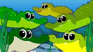 Five Crocodiles Went Swimming One Day | Nursery Rhymes | Kids Songs | Original Rhymes | Baby Rhymes