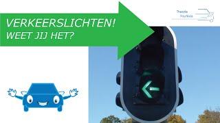 95% heeft dit FOUT! - Auto theorie vragen juni 2023