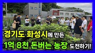 경기도 화성시에 만든 무화과농장 700평!