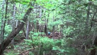 Maine Black Bear Hunt Recap - Spruce Mountain Guide Service - North American Hunting Club